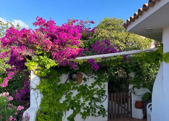 Lily Bay Baie De Santa Giulia-porto Vecchio Villa Porto-Vecchio (Corsica)