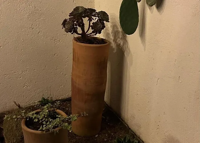 Lily Bay Baie De Santa Giulia-porto Vecchio Villa