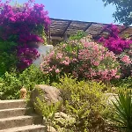 Villa Lily Bay Baie De Santa Giulia-porto Vecchio