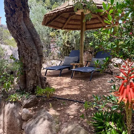 Lily Bay Baie De Santa Giulia-porto Vecchio Villa *