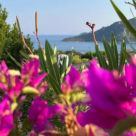 Villa Lily Bay Baie De Santa Giulia-porto Vecchio *