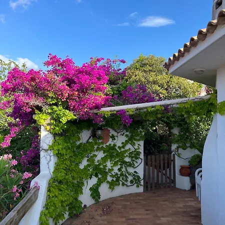 Lily Bay Baie De Santa Giulia-porto Vecchio Villa Porto Vecchio