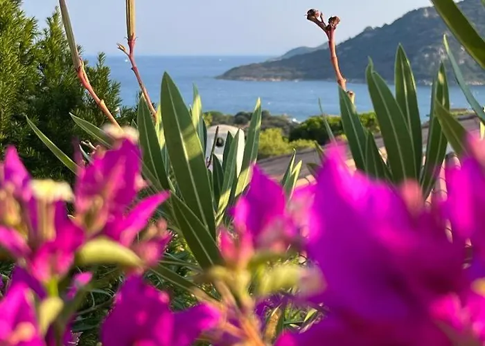 Villa Lily Bay Baie De Santa Giulia-porto Vecchio *