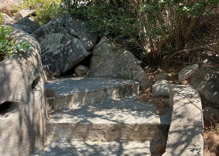 Lily Bay Baie De Santa Giulia-porto Vecchio * Porto-Vecchio (Corsica)