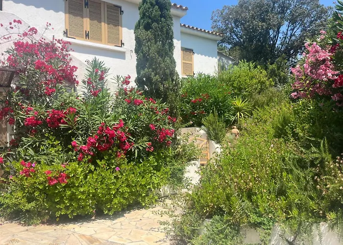 Lily Bay Baie De Santa Giulia-porto Vecchio